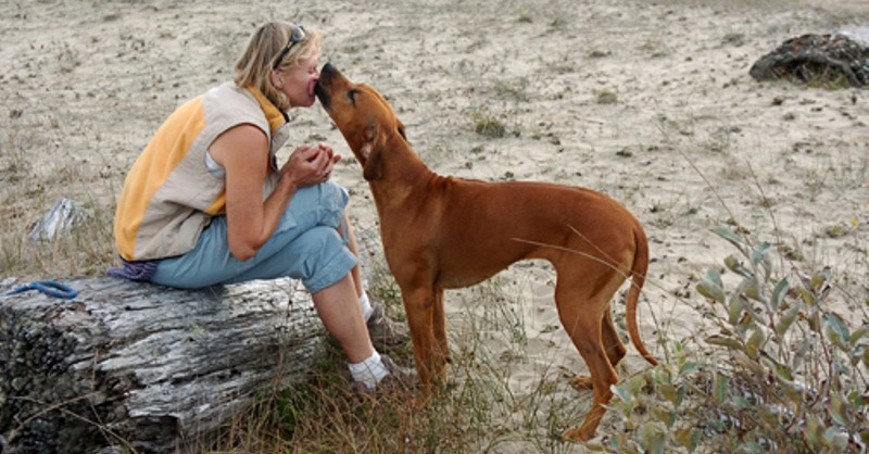 Shura and Rhodesian Ridgeback dog at the beach.